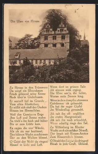 AK Hirsau, Die Ulme von Hirsau und Klosterruine