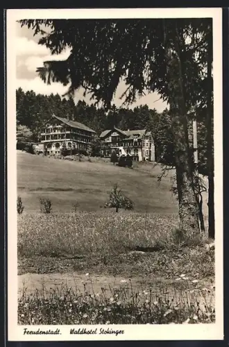 AK Freudenstadt, Waldhotel Stokinger