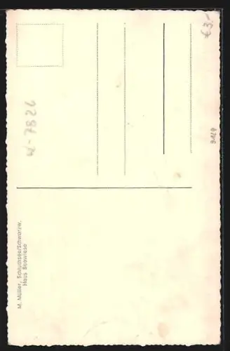 AK Schluchsee, Haus am See, Segelboot, Wald