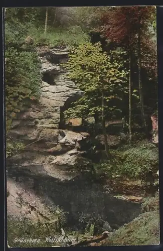 AK Grünsberg, Wolfsschlucht