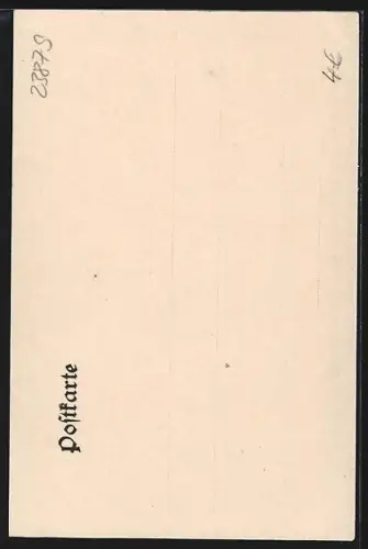 AK Mölln i. L., Rathaus, Nicolaikirche Rückseite