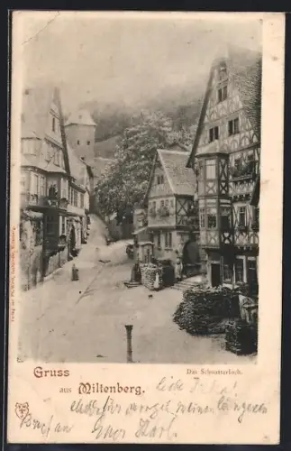 AK Miltenberg, Das Schnatterloch