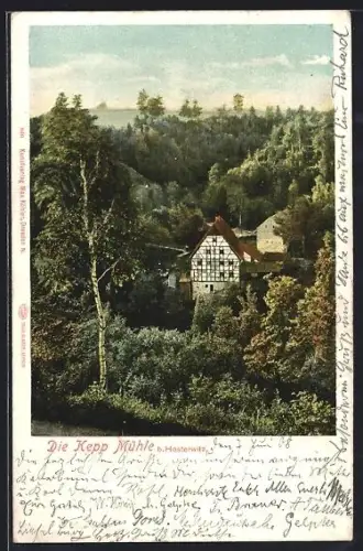 AK Dresden-Hosterwitz, Keppmühle im Wald
