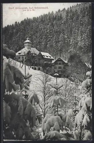 AK Bad Antogast, Panorama im Schnee
