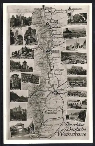 AK Neustadt a. d. Weinstrasse, Topographische Karte der Umgebung, Strasse von Grünstadt nach Bergzabern, Ortsansichten