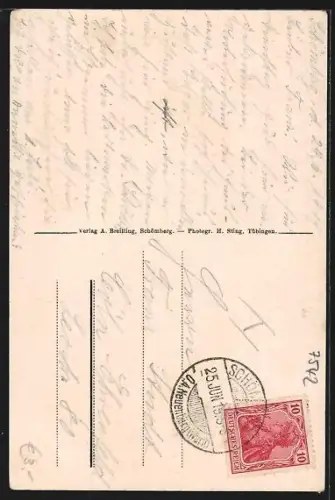 AK Schömberg im Schwarzwald, Ortsansicht vom Berghang aus