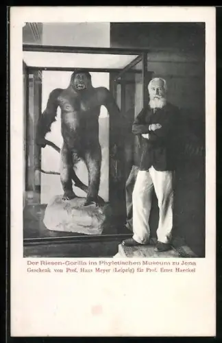 AK Jena, Prof. Ernst Haeckel neben Riesen-Gorilla im Phyletischen Museum