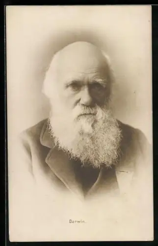 AK Portrait Charles Darwin, britischer Naturforscher