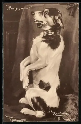 AK Baccy please, Männchen machender Hund mit Pfeife in der Schnauze