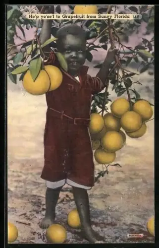 AK Florida, Kleiner Junge mit Grapefruit-Zweigen