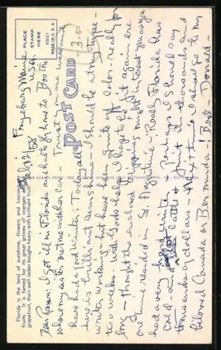 AK Florida, Kleiner Junge mit Grapefruit-Zweigen