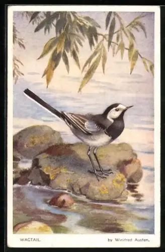Künstler-AK Wagtail, Bachstelze am Fluss