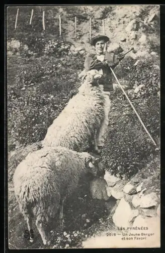 AK Un Jeune Berger, Schäfer mit zwei Schafen