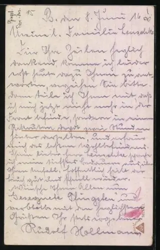 AK Maikäfer krabbeln um einen Lindenzweig