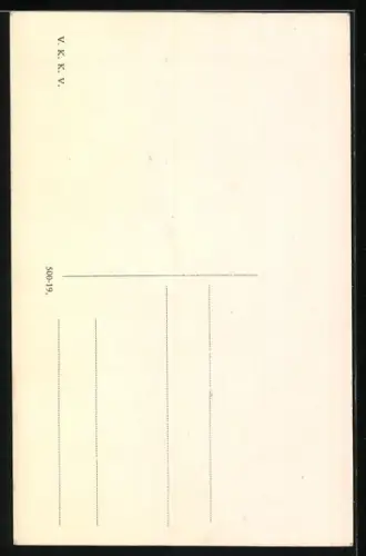 AK Prag / Praha, Král, Vinohrady, Skoly na Smetance