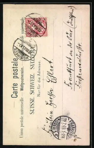 Lithographie Meyringen, Wasserfall Oberster Reichenbachfall