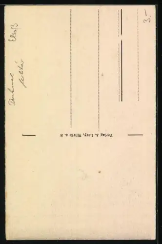 AK Wörth a. S., Denkmal d. 3. Kurhess. Infant. Rgt. v. Wittich