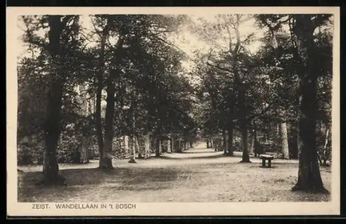 AK Zeist, Wandellaan in `t Bosch
