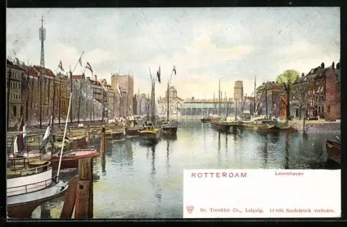 AK Rotterdam, Leuvehaven