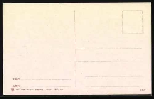 AK Haarlem, St. Bavo