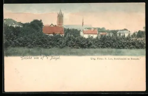 AK Bussum, Gezicht van af `t Singel, Panorama