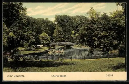 AK Groningen, Sterrebosch