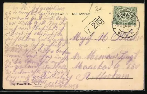 AK Bussum, Ruine aan den Amersfoortschen Straatweg