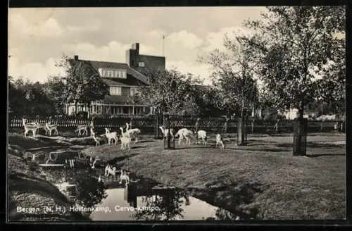AK Bergen /N. H., Hertenkamp