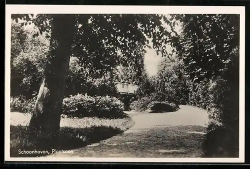 AK Schoonhoven, Plantsoen