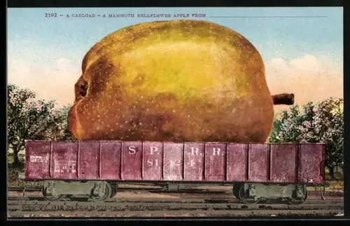 AK Optische Täuschung mit gigantischem Apfel