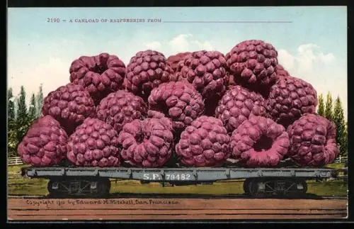 AK A Carload of Raspberries, riesige Himbeeren liegen auf einem Eisenbahnwaggon, Fotomontage