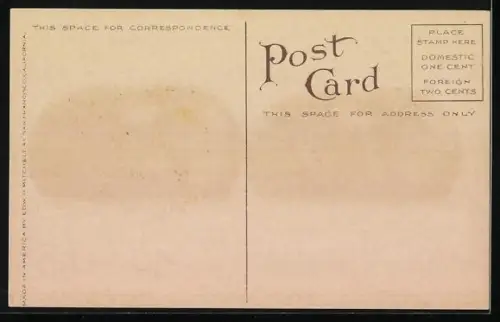 AK Optische Täuschung mit gigantischen Fleischtomaten