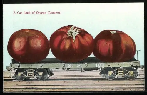 AK Tomaten werden mit dem Güterwagen transportiert, optische Täuschung