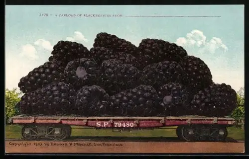 AK Riesige Bromberen auf einer Ladefläche, A Carload of Blackberries from...