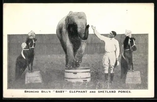 AK Broncho Bill`s Baby Elephant and Shetland Ponies, Zirkuselefant