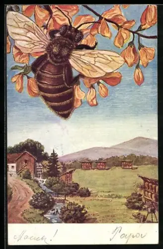 AK Biene an einem Ast trinkt Blüten-Nektar