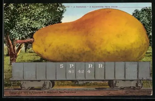 AK Riesige Birne wird mit einem Eisenbahnwaggon transportiert, optische Täuschung