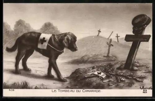AK Sanitätshund steht traurig an einem Soldatengrab