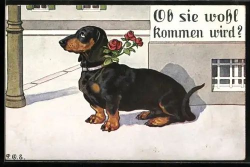Künstler-AK P.O.Engelhard (P.O.E.): Ob sie wohl kommen wird?, Dackel mit Rosen am Halsband