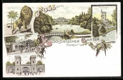 Lithographie Frankfurt, Zoologischer Garten, Bärenzwinger, Affenhaus, Aussichtsturm, Löwe