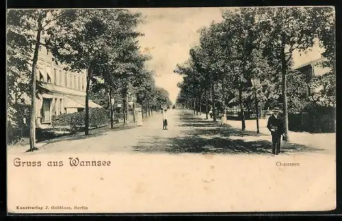 AK Berlin-Wannsee, Chaussee, Strassenpartie