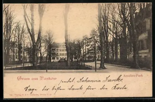 AK Berlin-Pankow, Partie am Amalien-Park