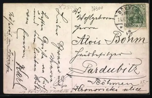 AK Döbeln i. S., Gesamtansicht