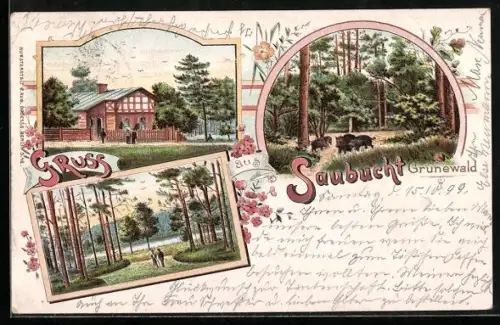Lithographie Berlin-Grunewald, Saubucht Grunewald, Waldpartien