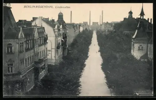 AK Berlin-Rosenthal, Lindenallee aus der Vogelschau