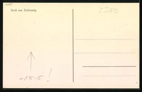 AK Schleswig, Flugplatz, Flugschau mit Tribüne