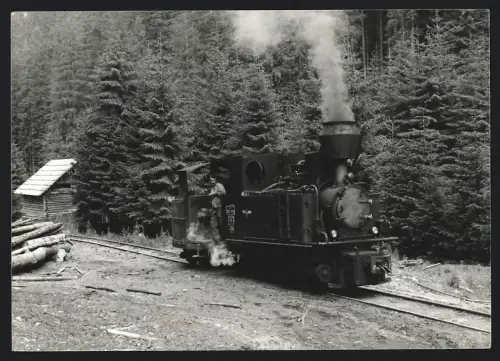35 Fotografien Eisenbahn, Kleinbahn / Schmalspurbahn, kleine Krauss-Lok C.F.F. 763-193, Waldbahn