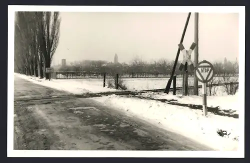 5 Fotografien Ansicht Zörbig, Bahnübergang mit Ortseingangsschild, Kirche, Allee, Winterstimmung