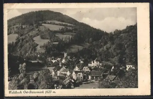 AK Waldbach /Ost-Steiermark, Panorama mit Kirche