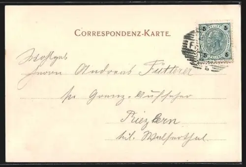 AK Feldkirch, Blick auf die Burg